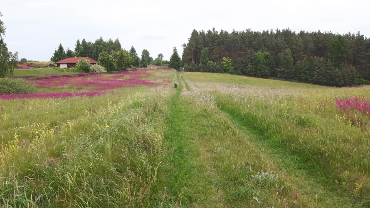 Lipowo KurkowskieBakusiowy Zakatek公寓 外观 照片