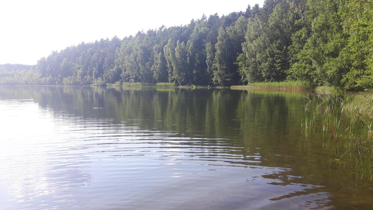 Lipowo KurkowskieBakusiowy Zakatek公寓 外观 照片