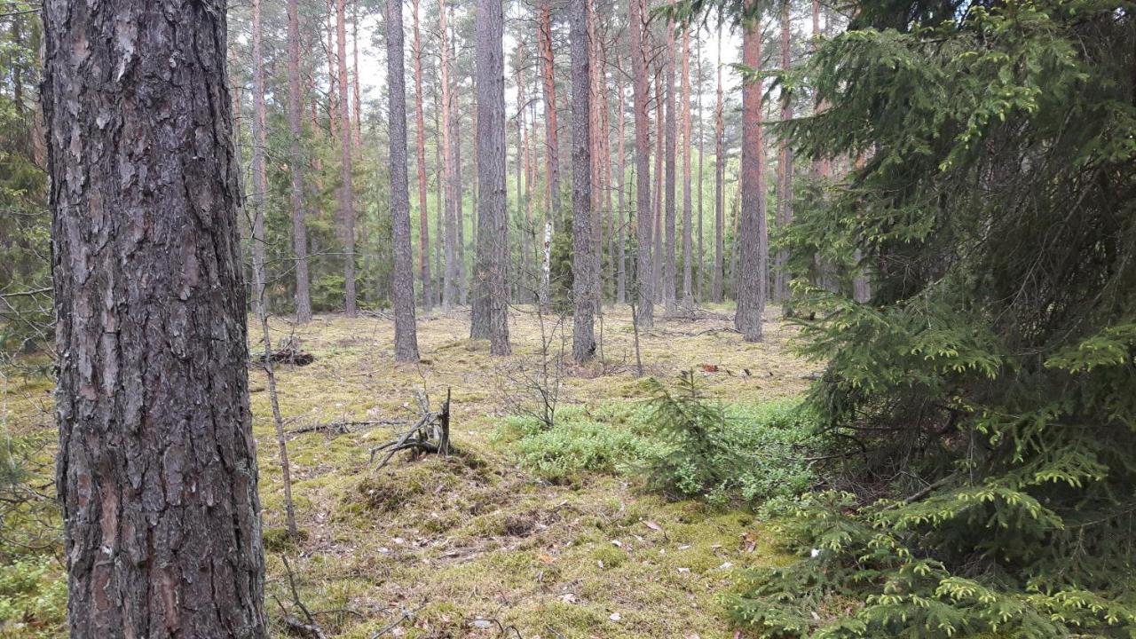 Lipowo KurkowskieBakusiowy Zakatek公寓 外观 照片
